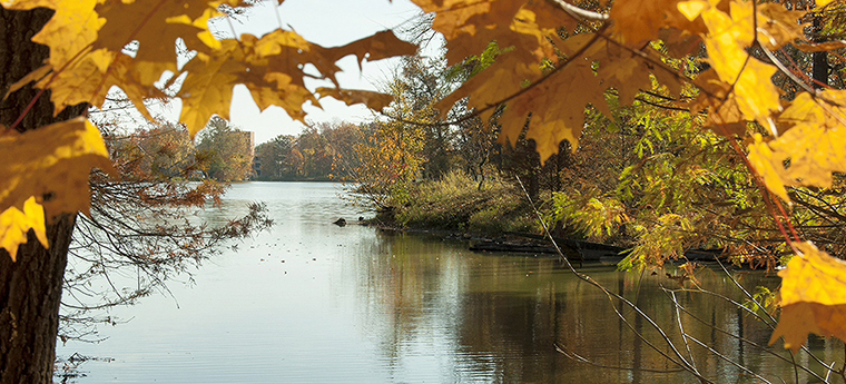 campus lake in fall