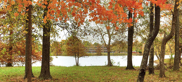 Campus lake fall