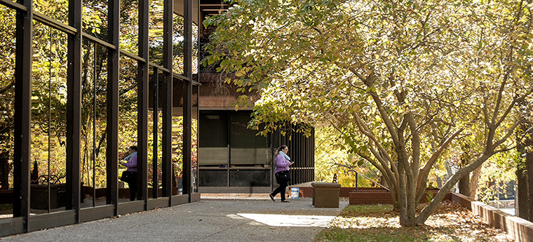 campus in fall photo